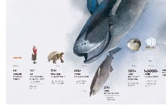 壽命悠長