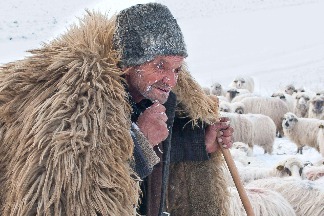斯特雷姆茨的牧羊人