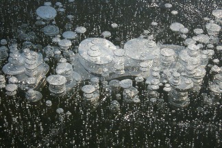 小湖裡的冰凍氣泡