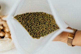 從歷史中挖掘未來：綠豆的基因祕密與氣候生存法則