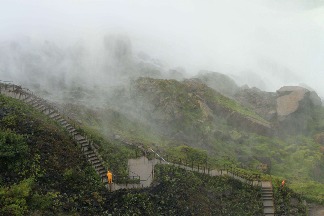 在霧中