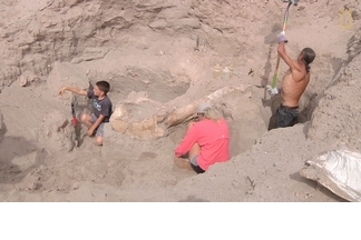 男孩跌個跤，發現百萬年前的化石