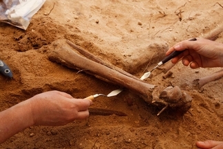 考古學家新發現惡名昭彰船難的集體墓穴