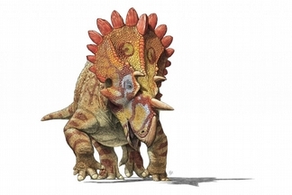 認識「地獄怪客」：發現頭部多銳角的新種恐龍