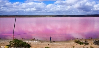 粉紅湖