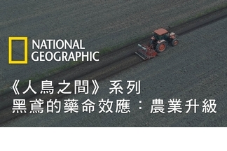 《人鳥之間》系列－黑鳶的藥命效應：農業升級