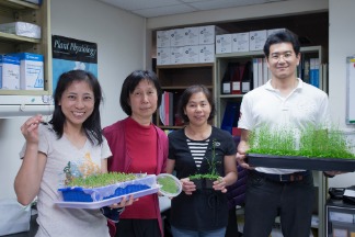 「打開植物學課本，就像回到家啊！」發現葉綠體蛋白質橋樑的李秀敏