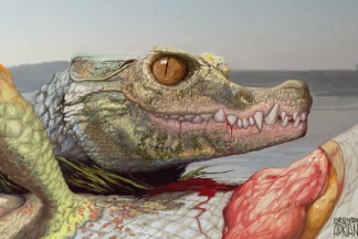 德州市郊發現古怪的鱷魚親戚化石