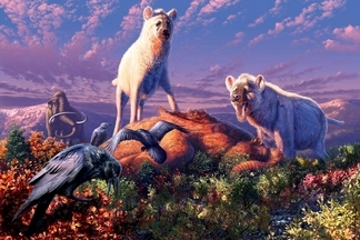 牙齒化石揭露：遠古曾有鬣狗生活在北極