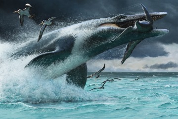 這種白堊紀「海怪」攻擊獵物的速度比大白鯊更快