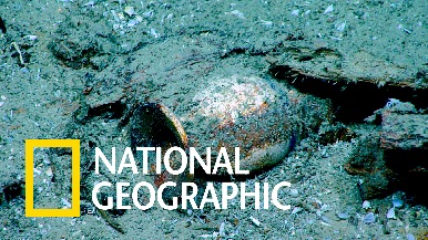 跟著「深海發現者」探索北卡羅來納州外海的沉船遺跡