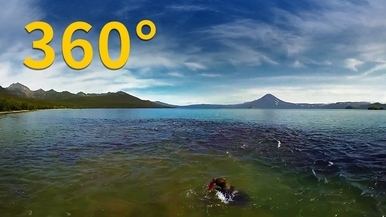360° VR：俄羅斯堪察加半島的棕熊捕魚樂園