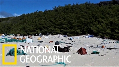 美麗無人島上竟有3800萬塊塑膠垃圾