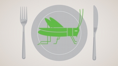 我們的菜單上該有更多蟲蟲嗎？