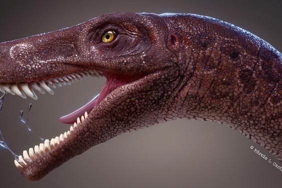 驚人完整的化石揭示早期肉食性恐龍的神秘面紗！