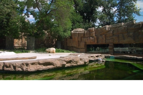 《白熊計畫》– 北京動物園