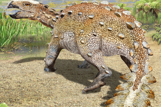 智利挖出7300萬年前新種恐龍，尾巴竟如「黑曜石砍刀」