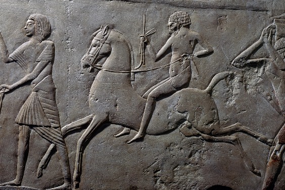 誰最早開始騎馬？古代人骨藏著新線索