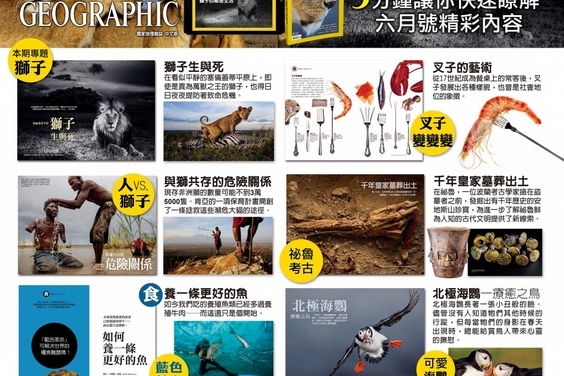 【新刊上架】《國家地理》雜誌中文版 2014 年 6 月號 ─ 獅子的秘密生活