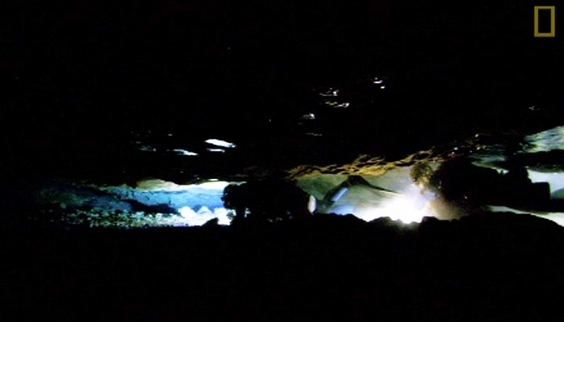 探險直擊：水下洞穴崩塌驚魂記
