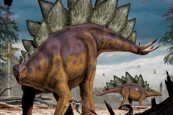 【恐龍狩獵者】劍龍(Stegosaurus)