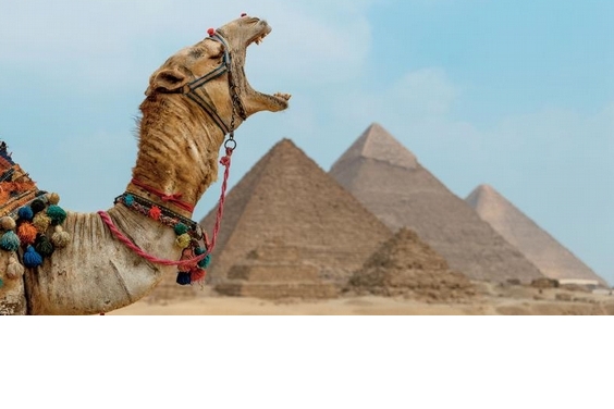為何考古學家推薦六月造訪埃及吉薩大金字塔？
