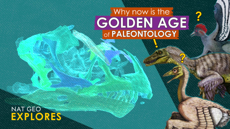 國家地理探索系列：發現恐龍的黃金時代就是現在？