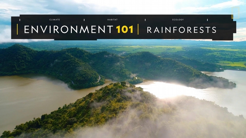 101環境教室：雨林