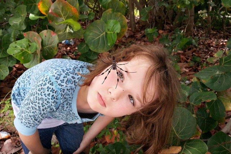 女兒與蜘蛛