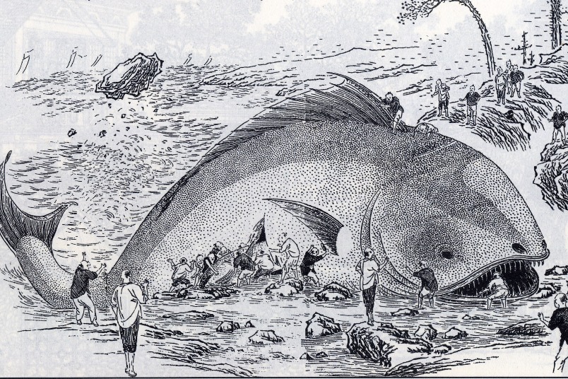 吞船大魚，海上之「豬」？歷史上的鯨豚擱淺軼聞