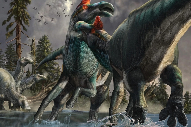 這隻神奇的恐龍「木乃伊」竟擁有蹄狀前足