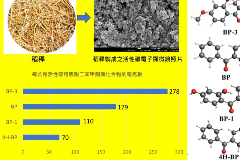 別讓防曬美意變環境負擔！看農業廢棄物如何變身科技材料，吸附水中有害環境荷爾蒙