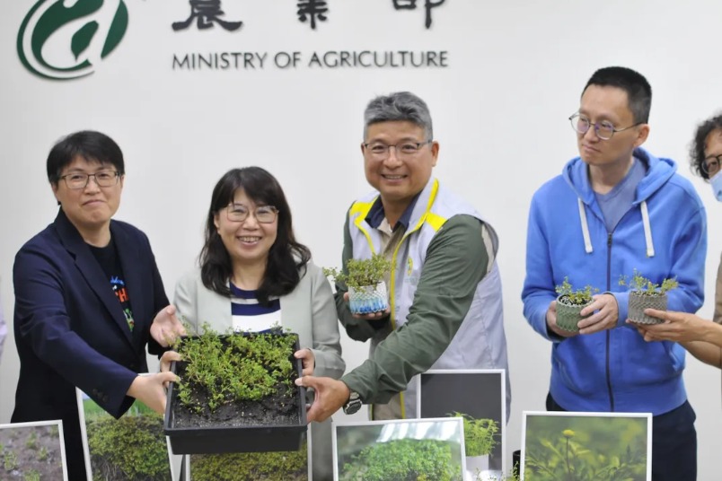 林試所復育瀕危植物「山芫荽」 盼明年推出市場成居家盆栽