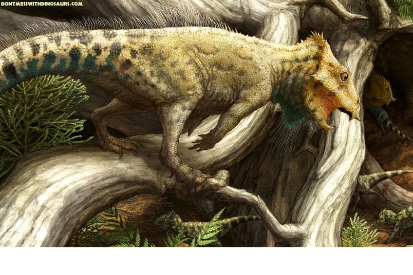 美洲新種恐龍，體型嬌小如兔